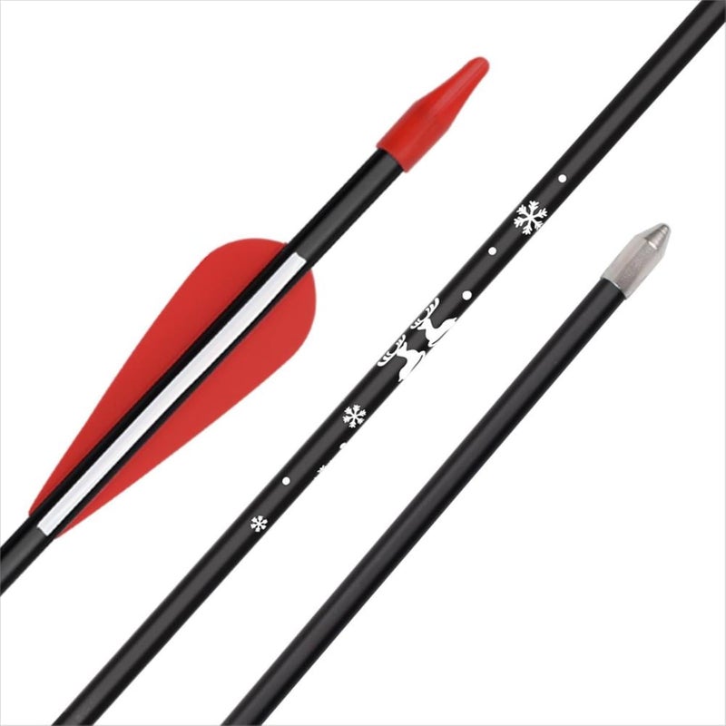 Yls Fiberglass Archery Arrows 30 inch Practice Arrows Perfect for Youth Beginner Target Practice and Outdoor Shooting Recurve Bows Compound Bow - Image 2